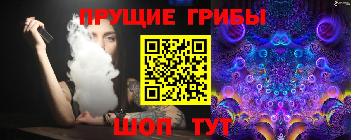 Галлюциногенные грибы мицелий  Галлюциногенные грибы Psilocybine cubensis  где продают наркотики  Саров  Вход с VPN 