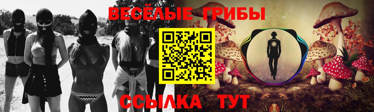 Галлюциногенные грибы MAGIC MUSHROOMS Саров