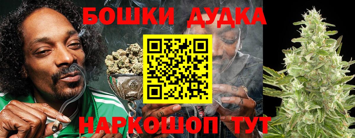 Бошки Шишки план Саров